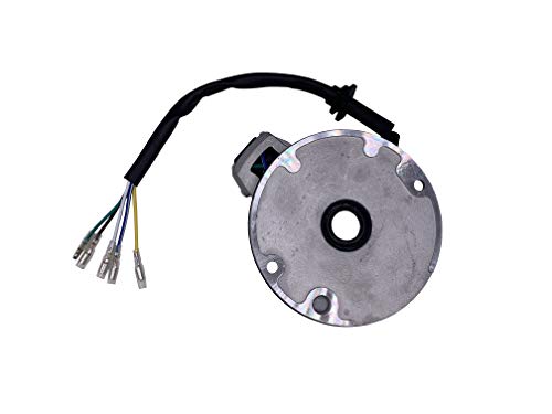 Zsoog 2 Coil Ignition Magneto Stator Compatible With 50Cc 70Cc 90Cc 110Cc 125Cc Taotao Kazuma Ssr Baja Atv Quad Kick Start Dirt Bike #TOP1