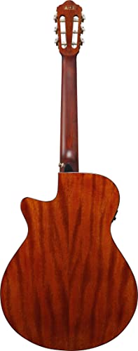 Ibanez Aeg50N 6-String Acoustic-Electric Guitar (Right Hand, Black High Gloss) #TOP2