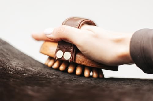 Equimour Massagestriegel – Pferdestriegel aus Holz mit stabilen Holznoppen & flexiblem Gummikissen – Für effektive Massage, Durchblutung & Wellness-Pflege deines Pferdes