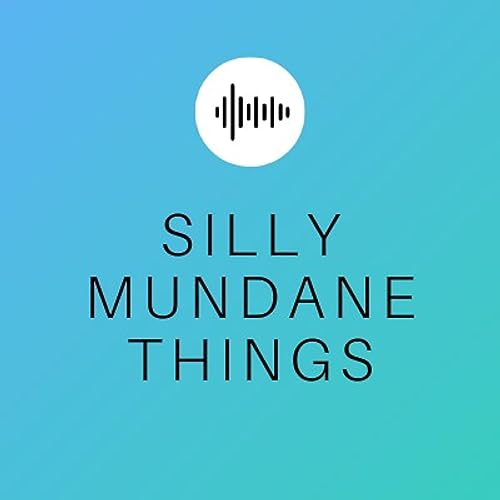 Couverture de Silly Mundane Things