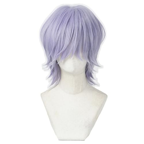 DERRRR-DOR Gray Kp Group Dance Wig Halloween Costume Hair Cover for Parties Stage PerformancesGray