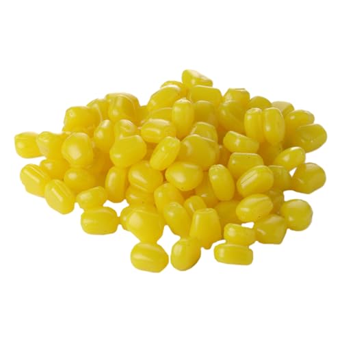 Holibanna 200 ?^ʕċa yʎ^ѕ֗ \tgfޑϋv ނpVUa UAȃR[` ނ舤DƌpA