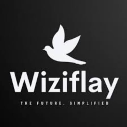 Wiziflay copertina