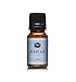 Night Air Fragrance Oil - Premium Grade Scented Oil - 10ml