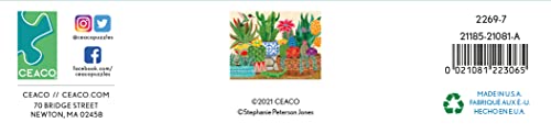 Ceaco - Succulents Collection - Stephanie's Succulents - 300 Piece Oversized Jigsaw Puzzle #TOP6