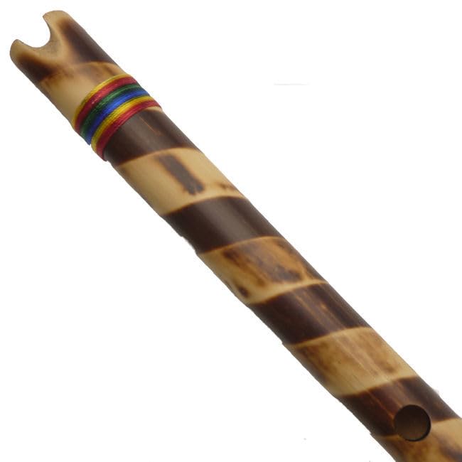 Amazon.co.jp: ケーナ ケース付き 入門用 X03 アンデス楽器