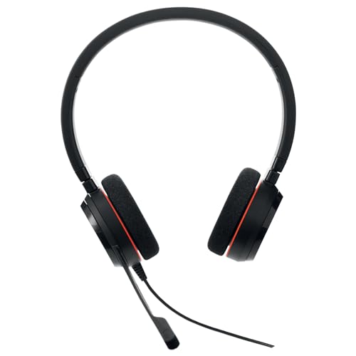 Jabra Evolve 20 MS - vue 8