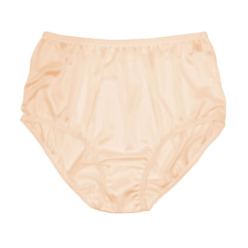 Image of Teri Women's 331 Plain Jane Classic Nylon Silky-Smooth Lightweight Breathable Full Coverage Brief Panty - 4 Pack