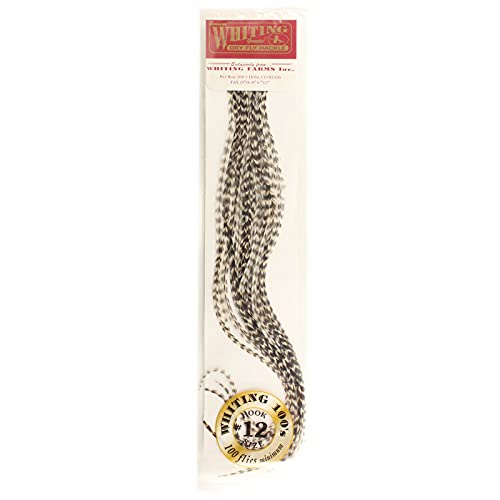 Whiting Farms 100 Pack