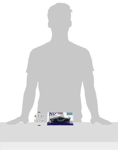 Ford GT Race Car No.66 (20030970)