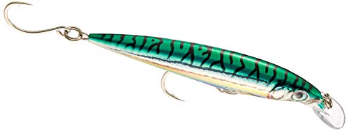Stickbait Rapala X-Rap Long Cast 12 GM poisson nageur bar