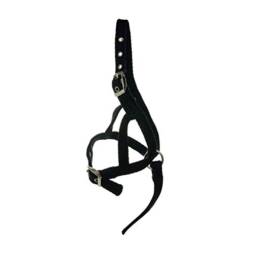 Y-H Hy Foal Slip Halter, Black