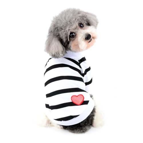 RANPHY   t  ^ ^ TVc {[_[ XgCvVc ʋC Lk  hbOEFA ` t`uhbO L   U op,zCg,XS