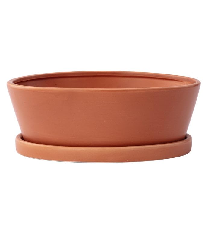 Napco Imports Decorative Home or Garden 3.5 x 9.75 Inch Indoor or Outdoor Dishgarden Flower Pot Planter with Saucer Rust Color Smooth Design