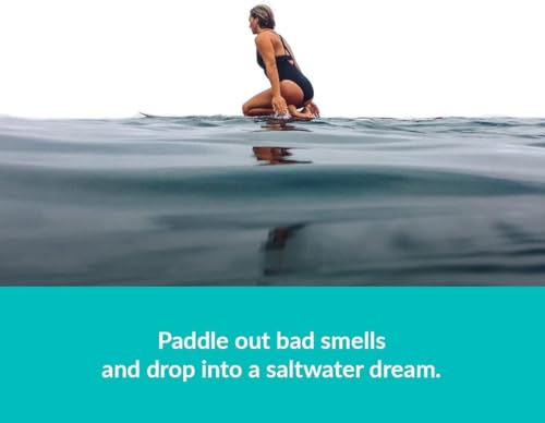 Image of ulu Lagoon Hanging Car Air Freshener | Tropical Beach Coconut Surf Wax Scent Mini Wave | Long Lasting Car Freshener, Closet and Beyond | Made In USA | 3 Pack (Black)