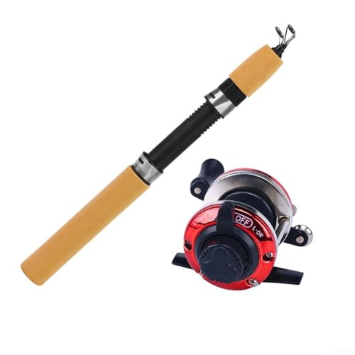 CWOQOCW - Canne à pêche compacte et moulinet pour pêche sur glace 60 cm, 80 cm, 100 cm de longueur avec EVA et bois au choix (type C)