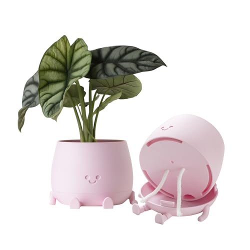 Image of TOPOLA Happy Face Planter, 5.2 Inches Plastic Plant Pot, Self Watering Plant Pot with Drainage Holes for Indoor Outdoor, Succulent Pot, Funny Flower Pot, Sakura