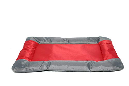 Tapis imperméable pour chiens protégeant vos canapés des taches et poils
