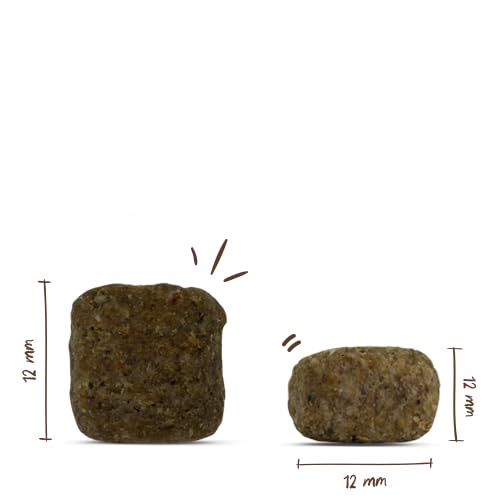 Bosch HPC Reproduction | Hundetrockenfutter für hochtragende und säugende Hündinnen | 1 x 7.5 kg (Packung mit 2)