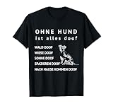 Lustige Hunde Besitzer Jack Russell Terrier