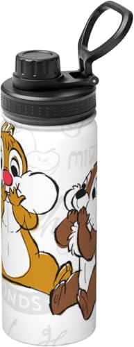 チップとデール アニメ 水筒 真空断熱 保温 保冷 スポーツボトル 人気 ステンレスボトル スポーツ飲料対応 漏れない 直飲み530ml 男の子 女の子 おしゃれ 大人 子供 グッズ キャラクター dh9w