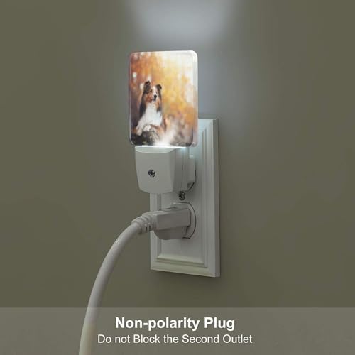 Image of Futterya Personalized Custom Plug-in LED Night Light, Customized Set of 2 Dusk-to-Dawn Auto Sensor Decor Lamp