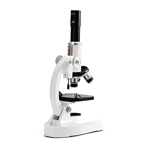 Microscope optique 2400X contre le flou pour réussir l'expérience de science