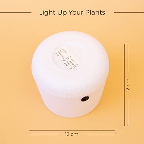 Image of KYARI Illuminati Led Plastic Pots for Indoor Plants with Drainage Hole & Stand (Best Flower Pots & Planters for Home Decor, Living Room, Kitchen, Bedroom, Table Top, Office, Gifting, Red, Pack of 1)
