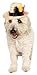 Rubie's Fedora with Feather Pet Costume Accessory, Small/Medium