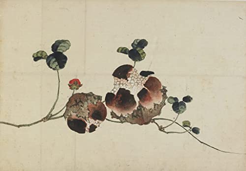 Katsushika Hokusai Toile Modern Peinture de Grenades pour Salon en 60x90cm