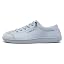 Gray Blue