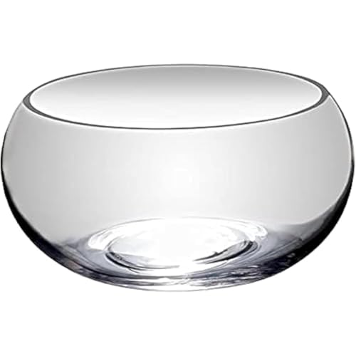 Fiozwea KX   ی^  ƒp ^ e  CeA  e ACe ԕr (20cm,)