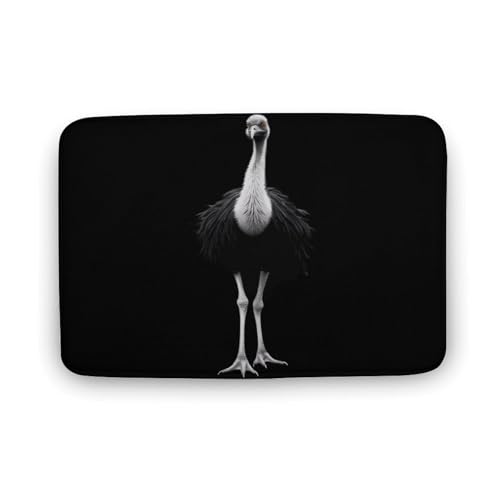 Ostrich Coral Velvet Rugs Non-Slip Bathroom Rugs Soft Kitchen Rug Floor Carpet for Home Decor 15.7