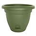 6" LivGRN Lucca Planter