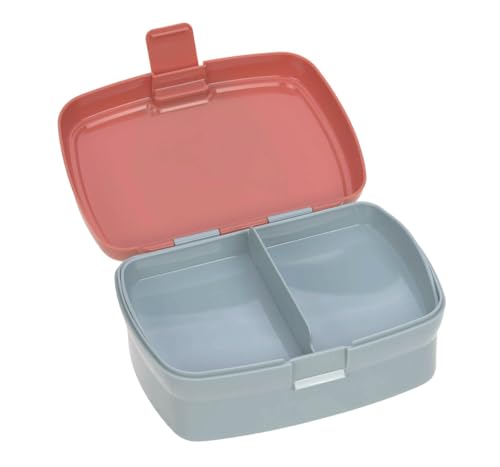 LÄSSIG Brotdose & Trinkflasche Set - Lunch Set mit Lunchbox und Trinkflasche (460 ml)/About Friends Fox