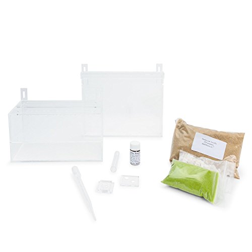 Sand Ant Farm Wall Kit (Anthill, Formicarium, Educational, Ants) #TOP6