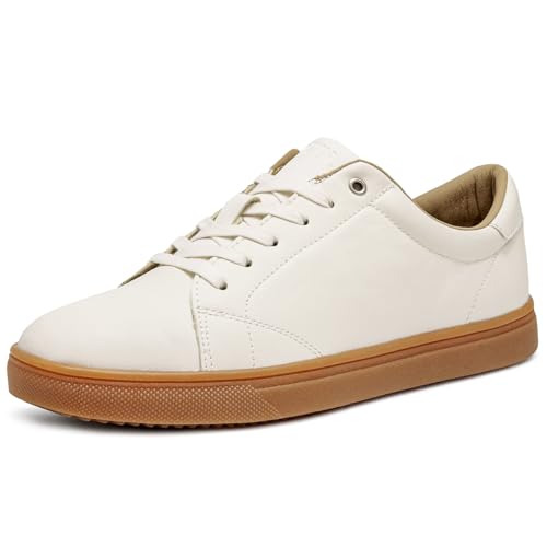 [GhEB] Xj[J[ Y JWAV[Y vC ㎿f PUU[ y Vv  K F 3E OH XR C EDM-1500 zCg/G 26.0