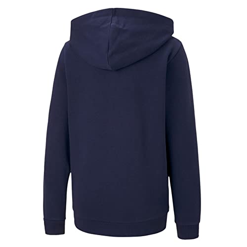 Puma Teamgoal 23 Casuals Hooded Jac, Felpa Unisex