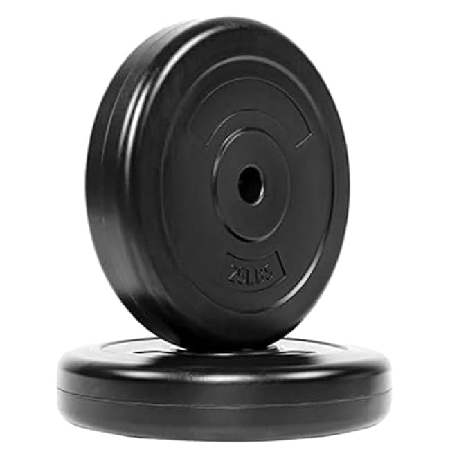 Vinyl Standard 1-Inch Plate Weight Plate for Strength Training and Weightlifting, Pairs or Sets