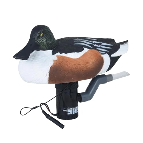 Avery GHG Swimmer Decoy Shoveler Drake