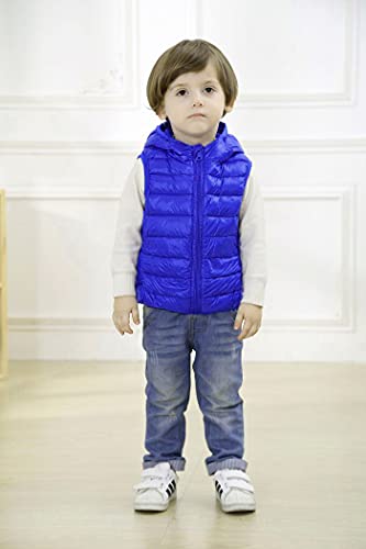 Image of AIWUHE Baby Boys Girls Hooded Puffer Vest Winter Lightweight Sleeveless Bear Ears Zipper Up Jacket Down Vest Coat Vests Kids