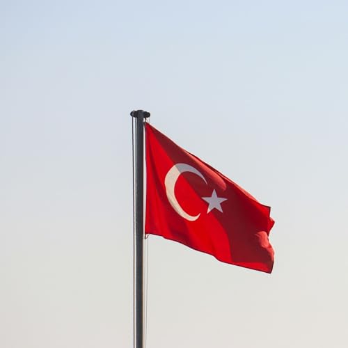 Runesol Palestine Flag, 91x152cm, (3ft x 5ft) Palestinian Banner, 4 Eyelets, Solidarity Day, Free Palestine, Premium Flags, Interior, Outdoor, Bright Colors