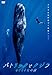 パトリックとクジラ 6000日の絆(DVD)