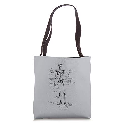 Human Skeleton Anatomical Skeleton bones Tote Bag
