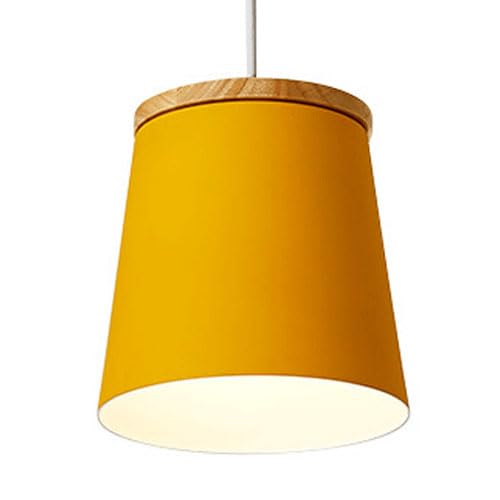 Lustre de style industriel nordique avec abat-jour en fer E27 pour couloir