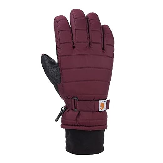 Carhartt womens Quilts Insulated With Waterproof Wicking Insert Cold Weather Gloves, Crabapple, Large US