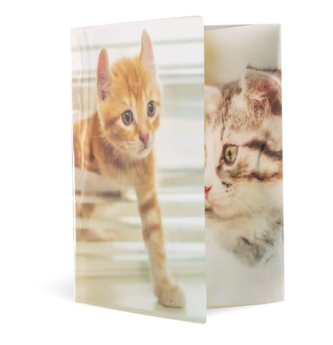 HERMA Sammelmappe A4 Katzen, Kinder Eckspanner-Mappe aus Kunststoff mit Tier Motiv, Hochglanz-Optik, Gummizug, Innenklappen und Innendruck für Jungen und Mädchen