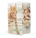 HERMA Sammelmappe A4 Katzen, Kinder Eckspanner-Mappe aus Kunststoff mit Tier Motiv, Hochglanz-Optik, Gummizug, Innenklappen und Innendruck für Jungen und Mädchen