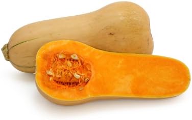 Squash Waltham Butternut Garden Heirloom Vegetable by Seed Kingdom Bulk 1 Lb Seeds