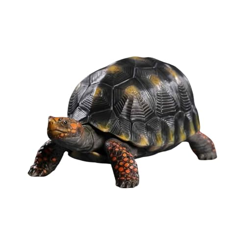 T tBMA IWi   Cm  f A X^`[ K^   CeAu RNV v[g 蕨 i  (AJAVK)